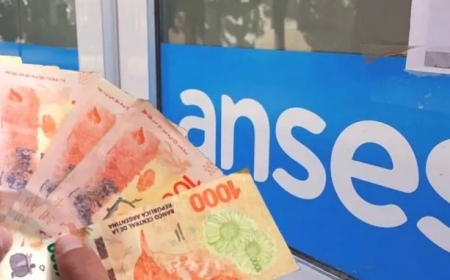ANSES: Todos los pagos de hoy 19 de enero