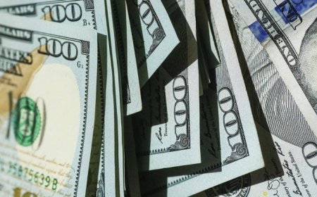 Dólar blue: a cuánto está este jueves 11 de abril en Salta