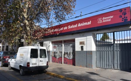 Hoy estará cerrado el Hospital de Salud Animal por tareas de desinfección