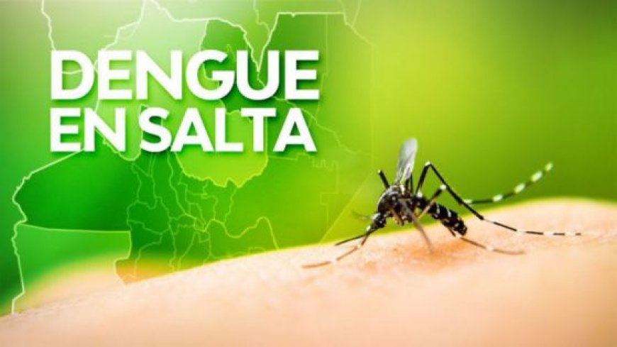 En la última semana aumentaron un 80,5% los casos de dengue en Salta