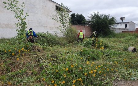 La Municipalidad de Salta continúa saneando baldíos en mal estado