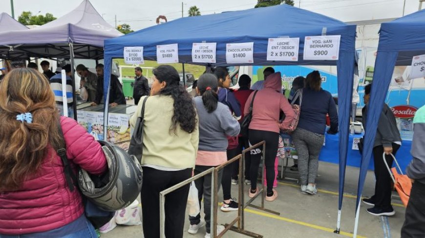 “El mercado en tu barrio” revolucionó la plaza España