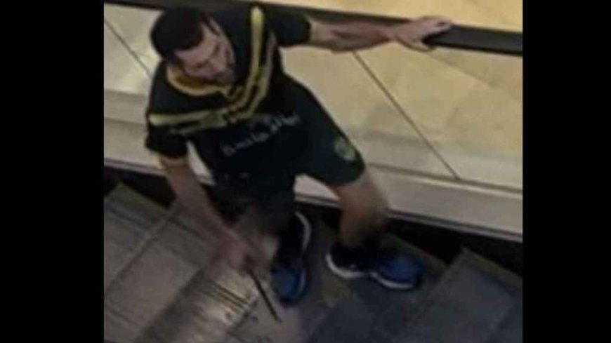 Un hombre ingresó a un shopping en Sidney y mató a puñaladas a seis personas: investigan un ataque terrorista
