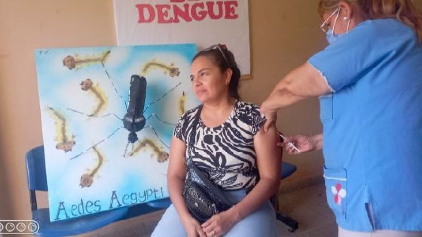 En mayo comienzan a vacunar contra el dengue en Capital