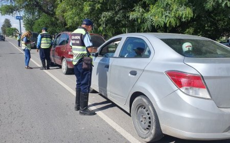 Tránsito: conocé cuál es la documentación necesaria para circular en Salta