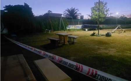 Una nena de 10 años murió tras caerse de la hamaca en una plaza