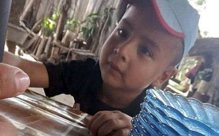 Giro en el caso Loan Danilo Peña: nuevos hallazgos en el naranjal donde habría desaparecido