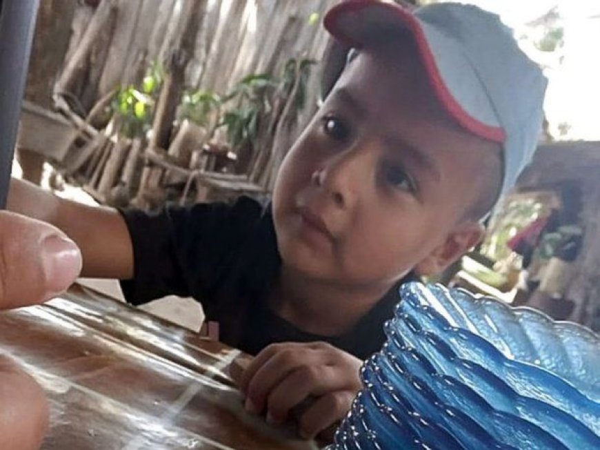 Caso Loan: sugieren que el niño habría sido entregado por sus tíos