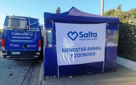 Zona Norte: vecinos podrán atender gratuitamente a sus mascotas