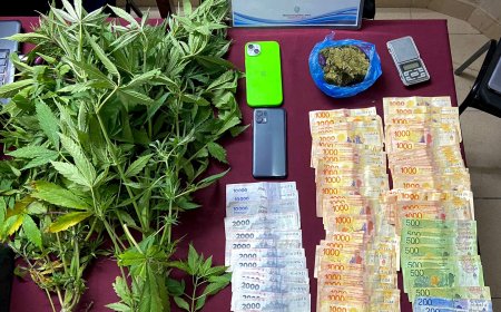 Detuvieron a un hombre y secuestraron más de 600 dosis de marihuana