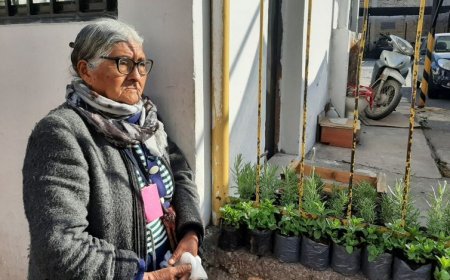 La abuela que vende plantas  en el centro salteño no puede cobrar jubilación  porque es de nacionalidad boliviana