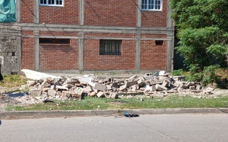 Recuperaron un espacio público en la calle Coronel Vidt