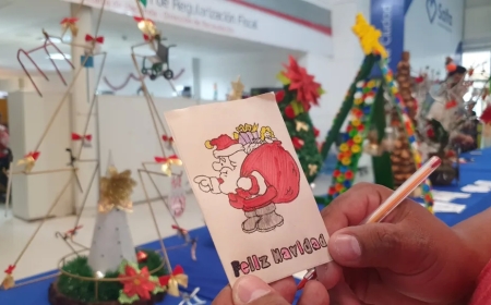 Abren las inscripciones para el concurso de árboles navideños con materiales reutilizables