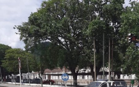 Un hombre se habría lanzado al canal de Av. Hipólito Yrigoyen