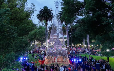 Se encendió el árbol navideño de plaza 9 de Julio