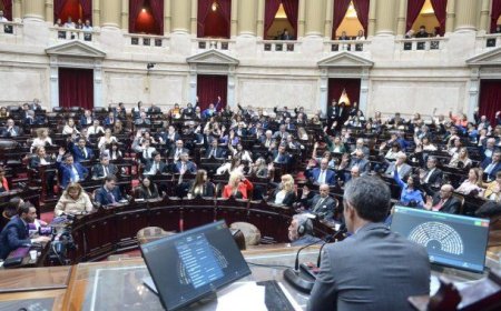 Diputados dio media sanción a la suspensión de las PASO