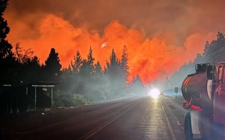Incendios sin control en El Bolsón: "Se está quemando todo", alertó el intendente