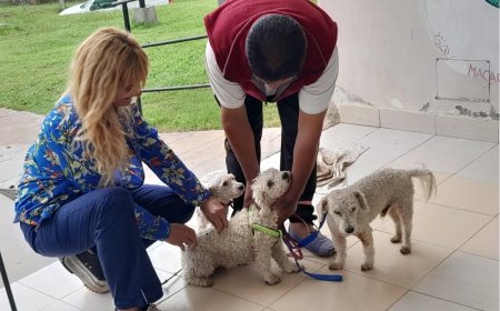 Esta semana habrá vacunación antirrábica en Palermo 1 y 2 y Alto La Viña