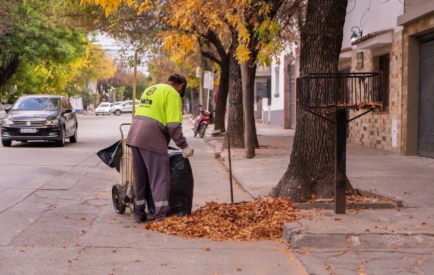 Conocé cómo funcionarán los servicios municipales durante este viernes 15