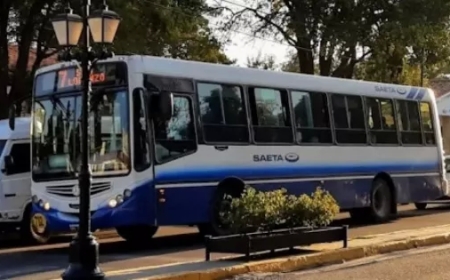 Este domingo será gratuito el pasaje en colectivos