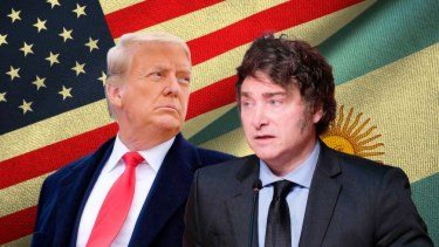 Dudas en EEUU sobre si el auxilio de Donald Trump al gobierno de Javier Milei evitará una devaluación