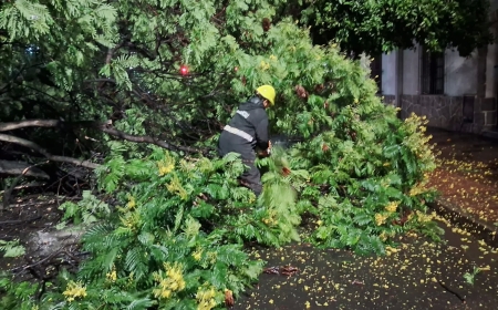 La Municipalidad intervino en 20 incidentes ocasionados por la tormenta