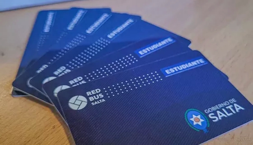 Tarjeta Estudiantil Provincial 2026: inicia el trámite de renovación para estudiantes universitarios del interior