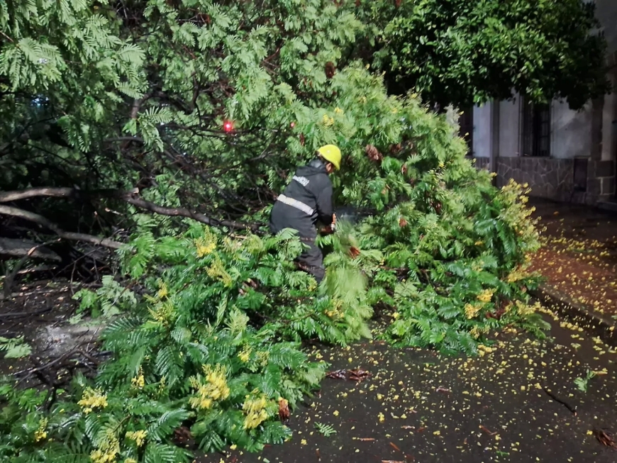 La Municipalidad intervino en 20 incidentes ocasionados por la tormenta