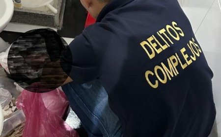 Investigan una red de apropiación de bebés: encontraron fetos en una clínica