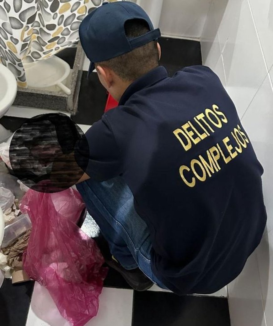 Investigan una red de apropiación de bebés: encontraron fetos en una clínica