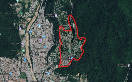 Familia Issa demanda al Estado jujeño por la ocupación masiva de 142 hectáreas en Bajo la Viña