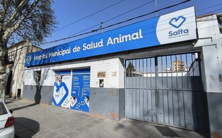 Este sábado 30 el hospital de Salud Animal estará cerrado por fumigación