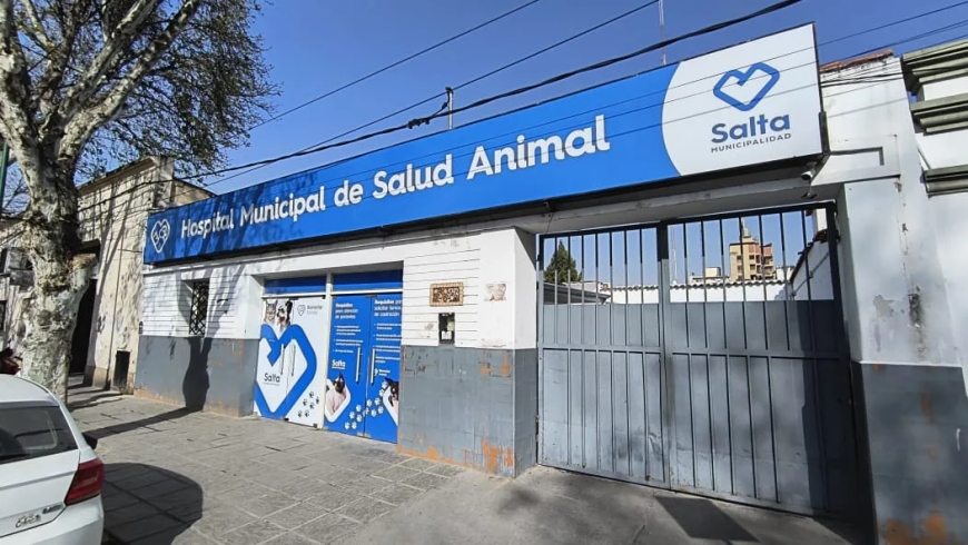 Este sábado 30 el hospital de Salud Animal estará cerrado por fumigación