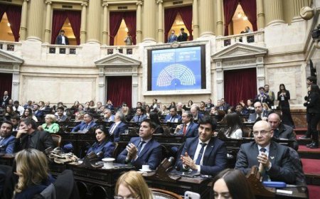 Diputados dio media sanción para el "Súper RIGI" y el Gobierno sumó una victoria legislativa