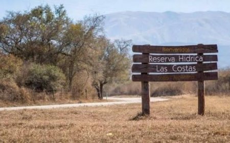 Promulgaron la ley que cede un terreno provincial a Tigres Rugby Club por 25 años