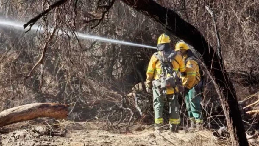 Los focos de incendios en Cafayate están contenidos