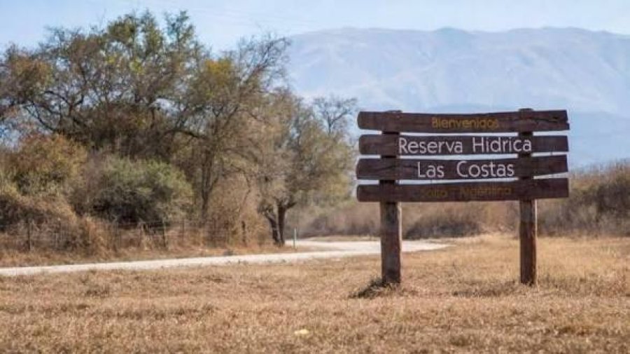 Promulgaron la ley que cede un terreno provincial a Tigres Rugby Club por 25 años