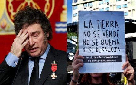 Derrota del Gobierno de Javier Milei: el oficialismo dio de baja la Ley de Tierras en el Senado