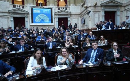 Diputados dio media sanción a la nueva Ley de Discapacidad