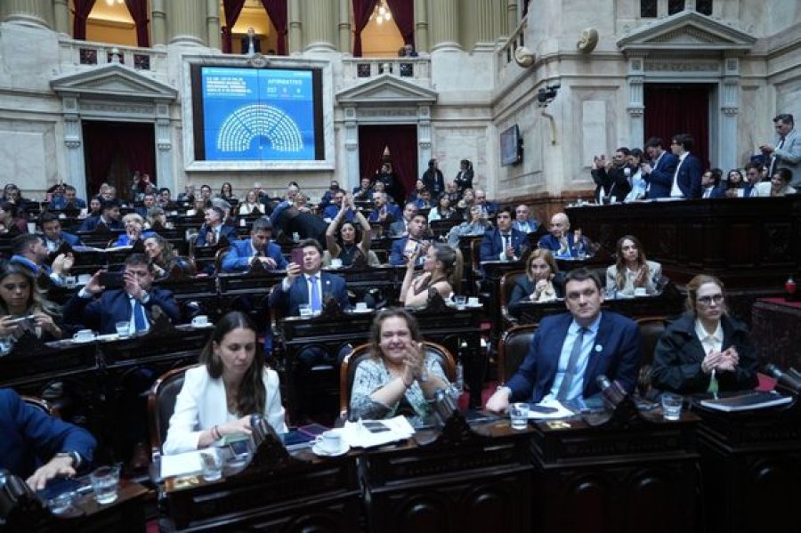Diputados dio media sanción a la nueva Ley de Discapacidad